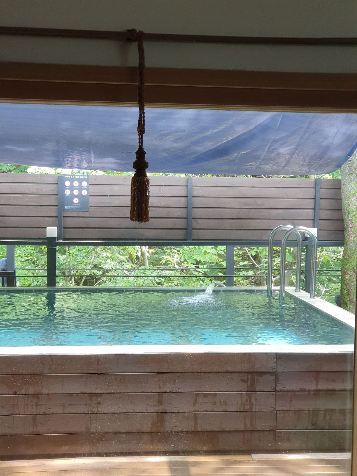 The image features a private swimming pool surrounded by greenery, with a wooden deck visible in the foreground. The pool includes steps leading down into the water and is partially shaded by a canopy overhead.