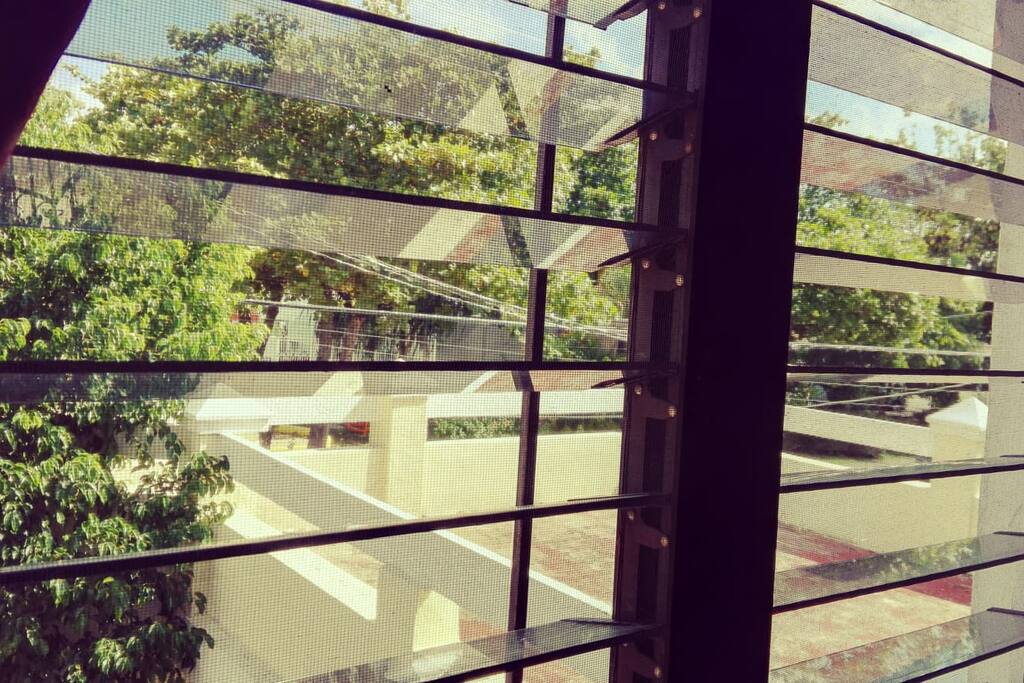 Con vista a los arboles
