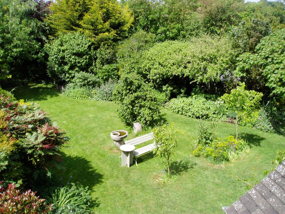 garden from house window