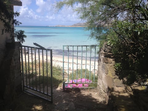 Lilium Holiday House on the Beach. The  Only One!