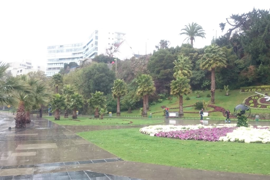 En pleno centro de Viña del Mar