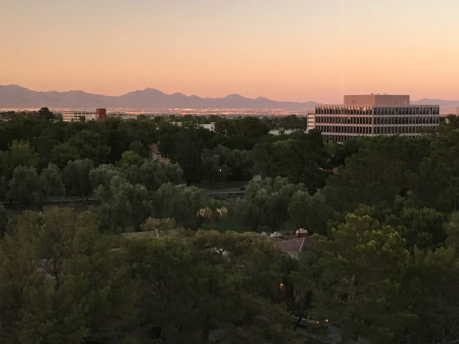 View from the Apartment