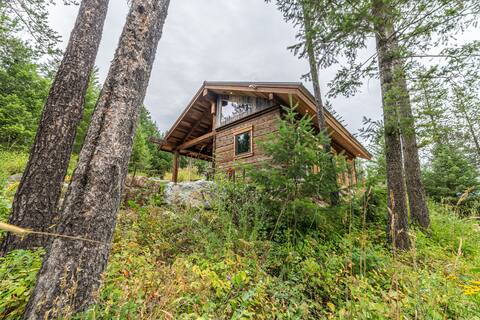 Bobcat Cabin at Snowcat Cabins (private hot tub!)
