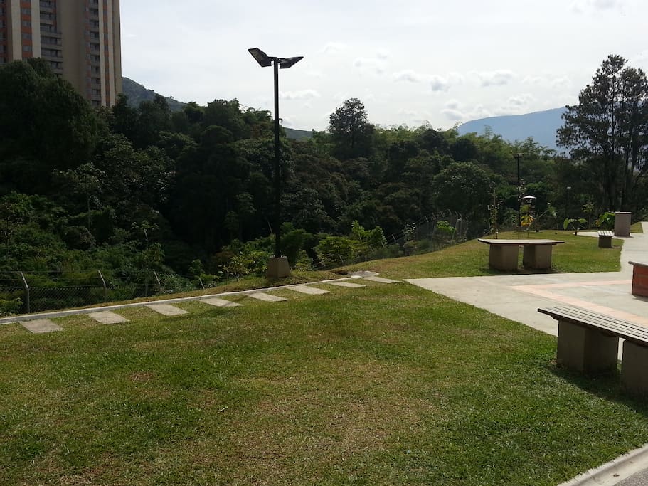 Amplía zona verde para caminar y pasear las mascotas