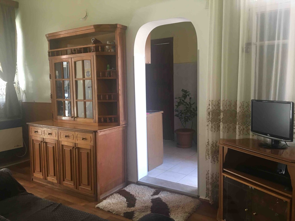 A wooden cabinet occupies one side of the living area, featuring glass shelves displaying decorative items. An archway leads to a kitchen, while a small potted plant adds a touch of greenery. A television stands on a wooden console, enhancing the cozy atmosphere.