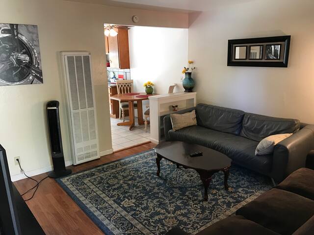 Entire Apartment Downtown San Jose Apartments For Rent In
