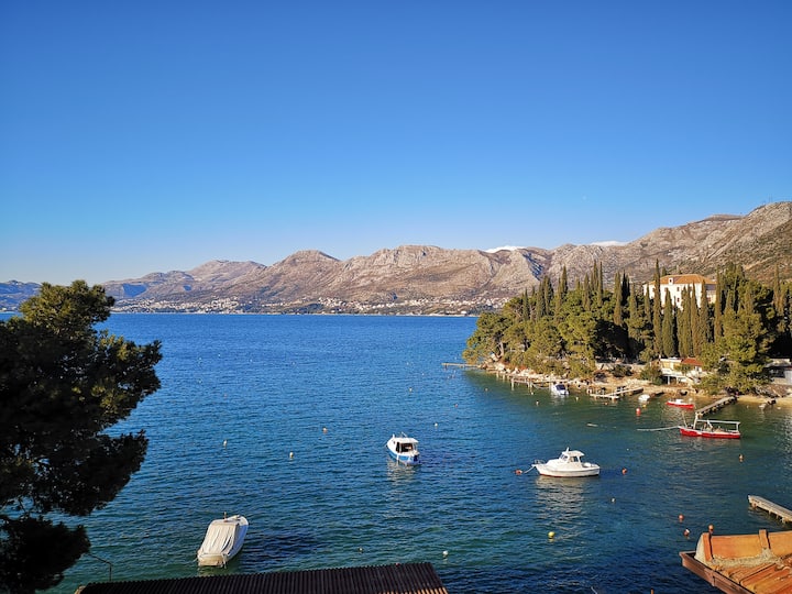 Cozy apt in Cavtat,10m from beach Houses for Rent in Cavtat