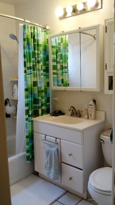 shared bathroom with full bath (handheld shower attachment!) and lots of natural light