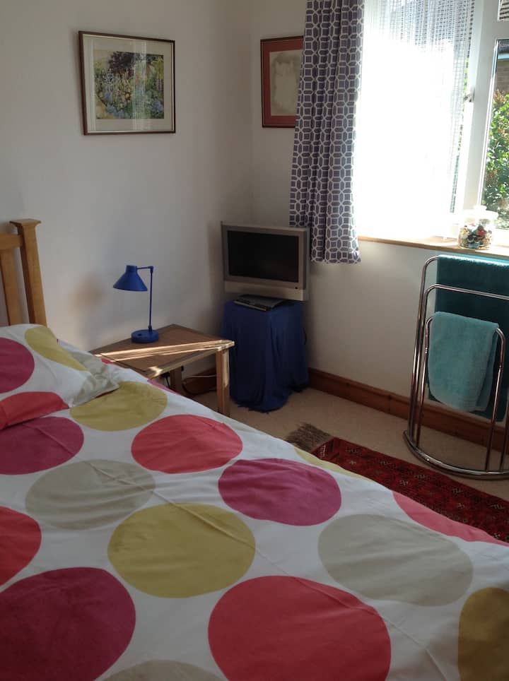 Large single room for Female Guest