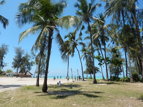 Baraka Aquarium Bungalows, Nungwi