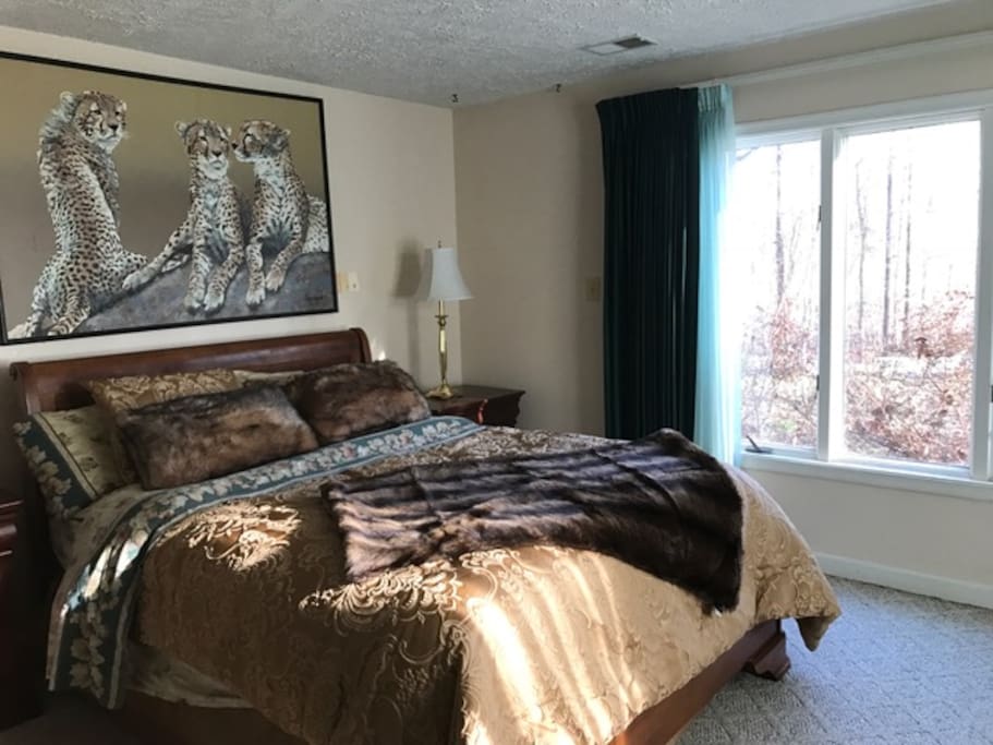 Vintage Bedroom facing woods