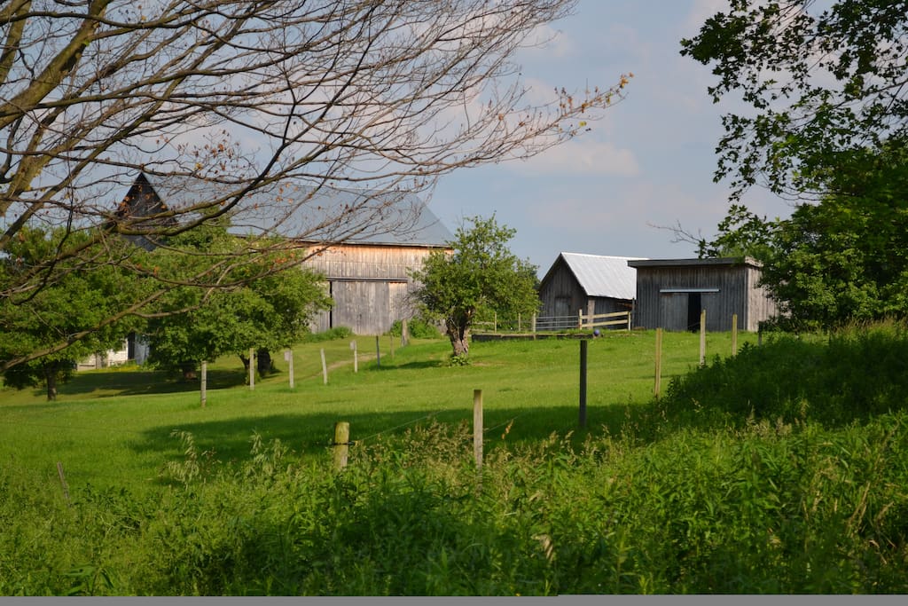 The barns at Maryhill