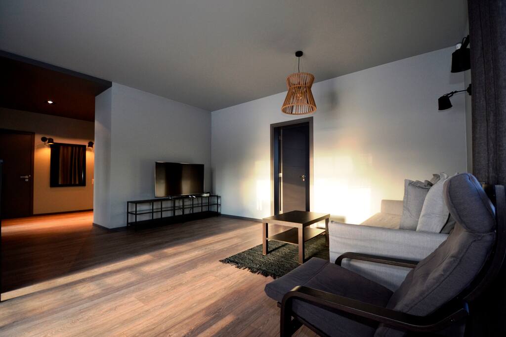 Living room with sofa bed