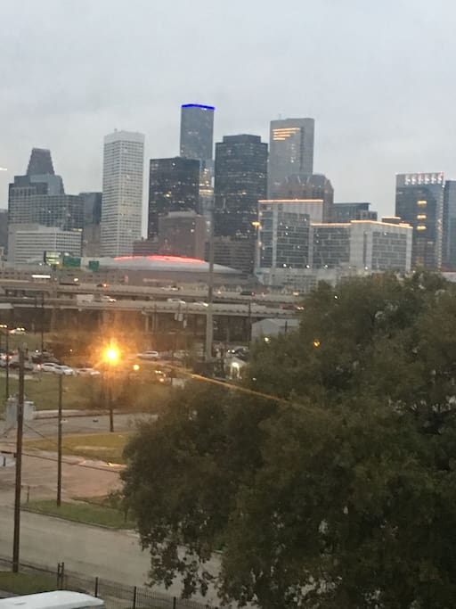 View of Downtown Houston