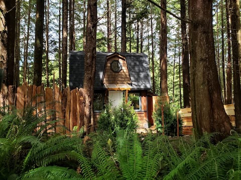 Vancouver Island Ferienwohnungen Unterkunfte British Columbia Kanada Airbnb