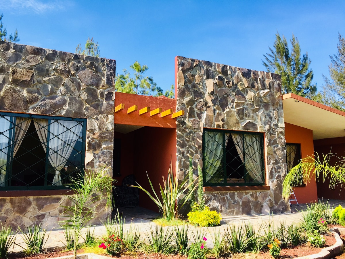 A modern stone exterior is featured, showcasing textured walls and large windows with cross-hatched designs. Green foliage and colorful flowers frame the entrance, while a covered porch offers a shaded area. The sky above is clear and blue, adding to the inviting atmosphere.