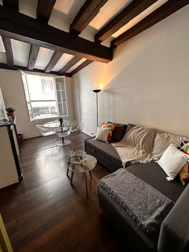 Charmant Appartement T2 45m2 - Hypercentre - Orleans
