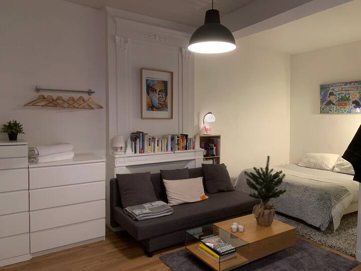 Bordeaux Studio Hôtel de Ville Hypercentre Apartments for Rent in