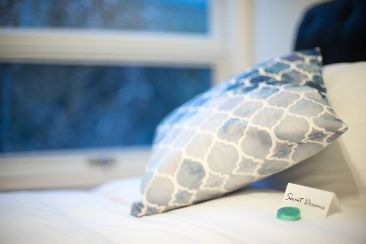 Elegant Private House – Heart of Downtown