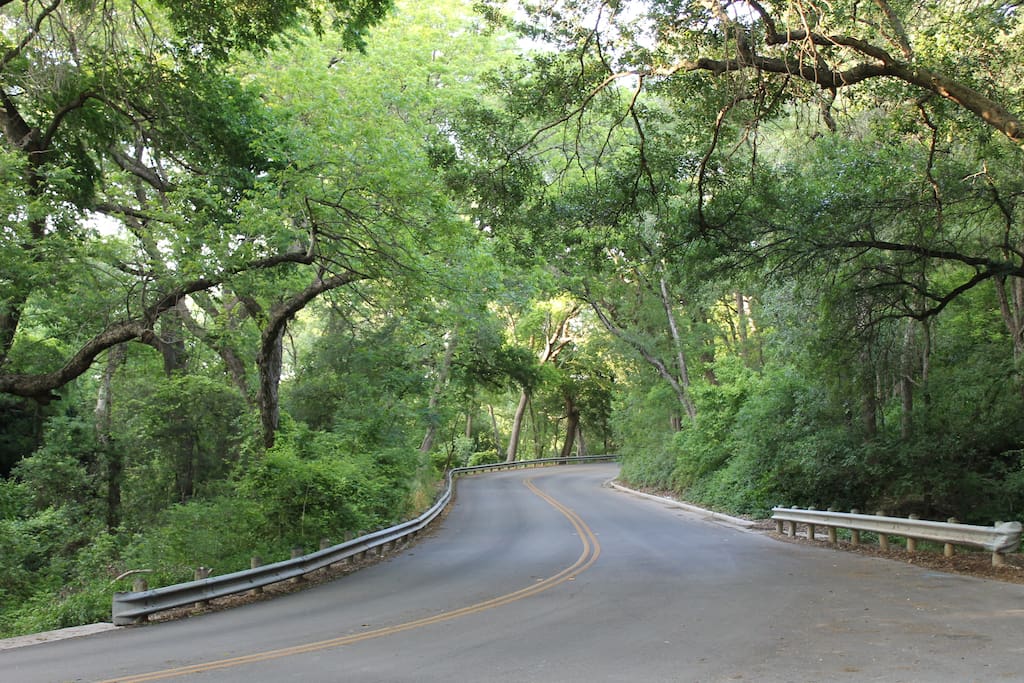 A beautiful ride through the park.. 6 min away