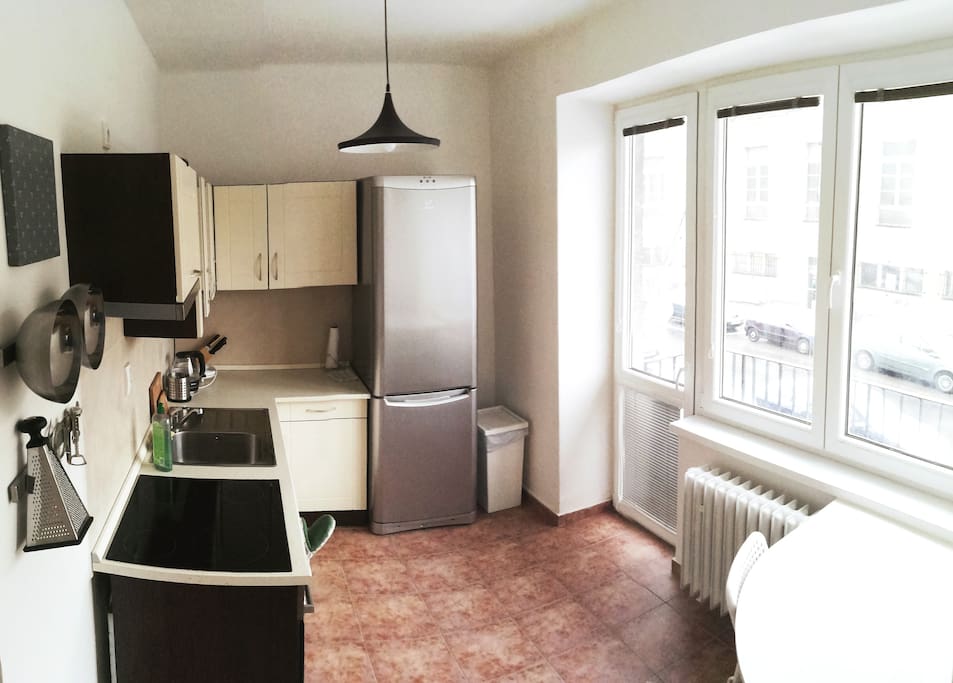 Modern and fully equipped kitchen with fridge and electric cooking plate and table for two. Ready for cooking.