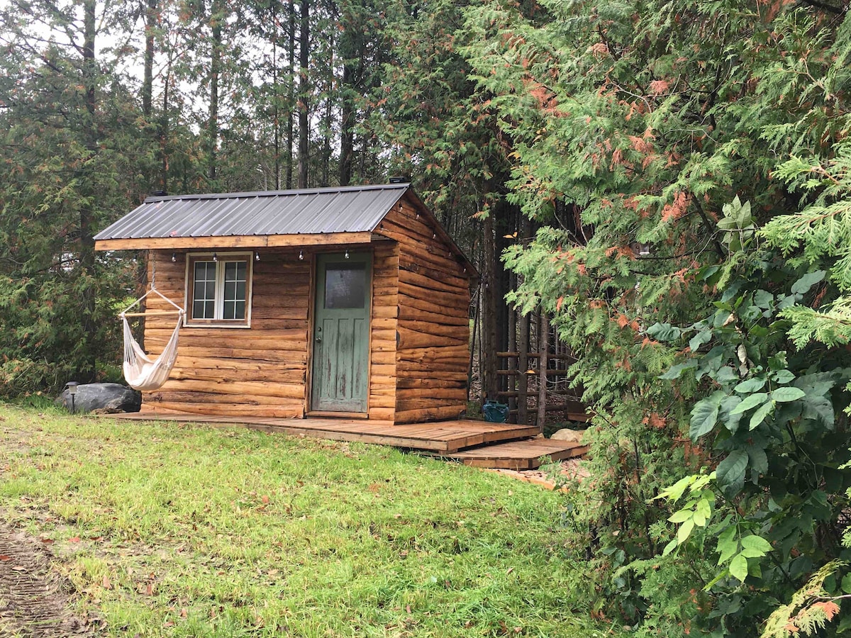 A rustic cabin is nestled among cedar trees, featuring a wooden deck and a green door. A light-colored hammock hangs nearby, inviting relaxation. The surrounding grass and foliage enhance the tranquility of the setting.