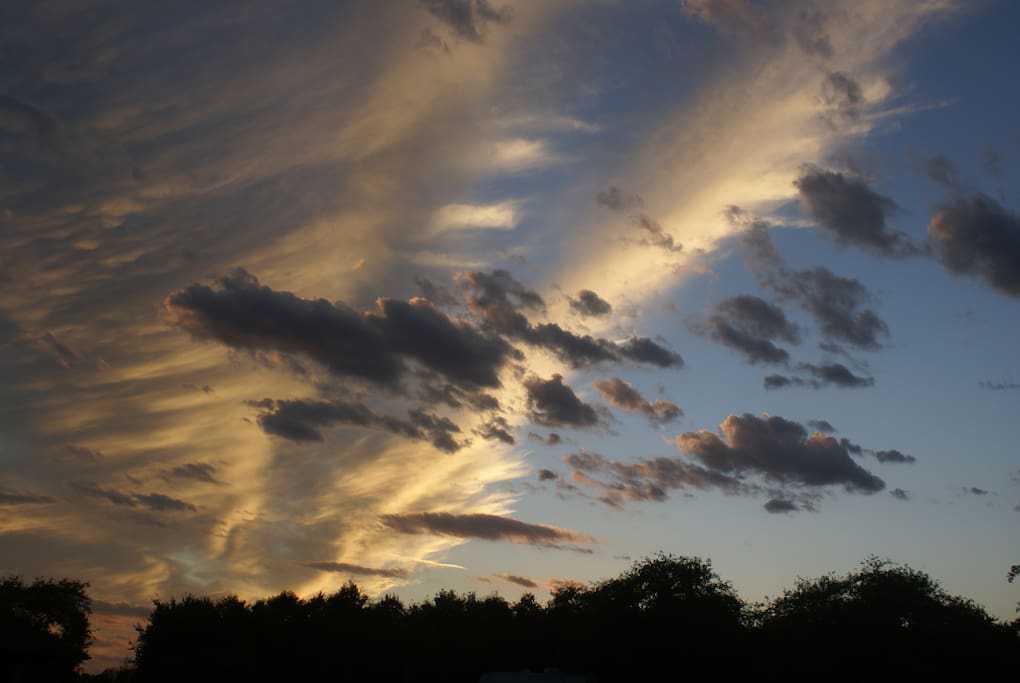 A sunset over the orchard
