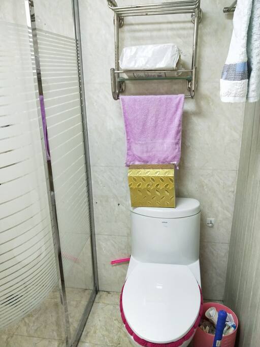楼上卫生间坐便器