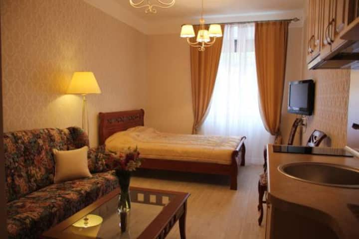 Superior Apartment - Vilnius