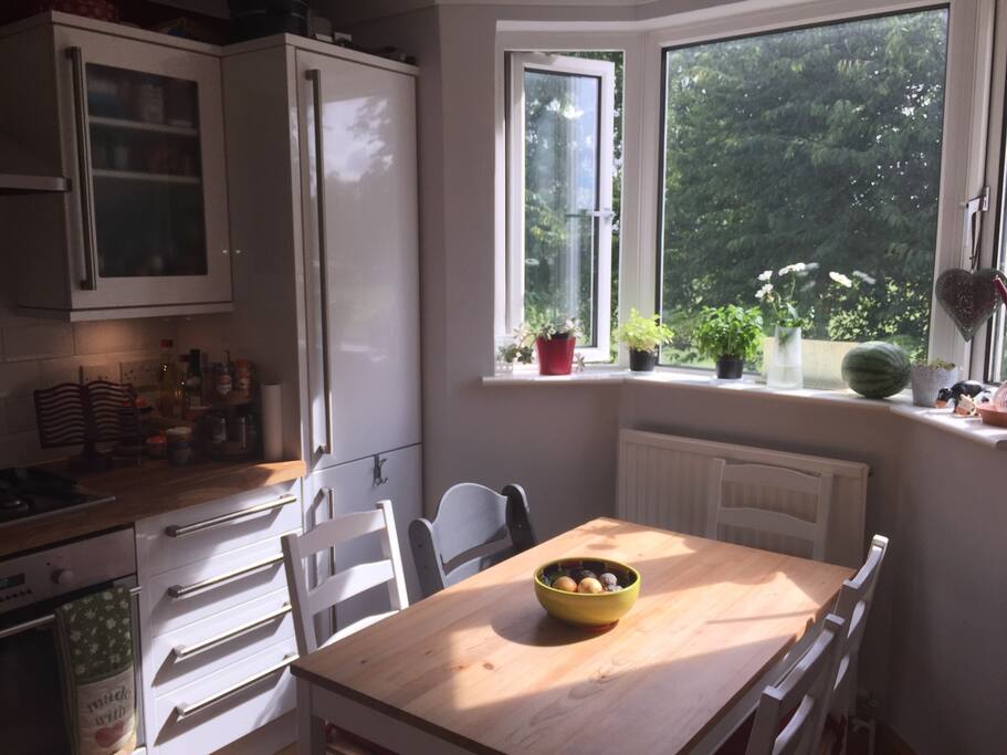 Kitchen looking onto the leafy field