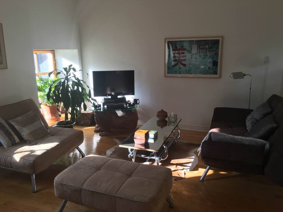 Entrance view. Cozy living room with a single and double futon.