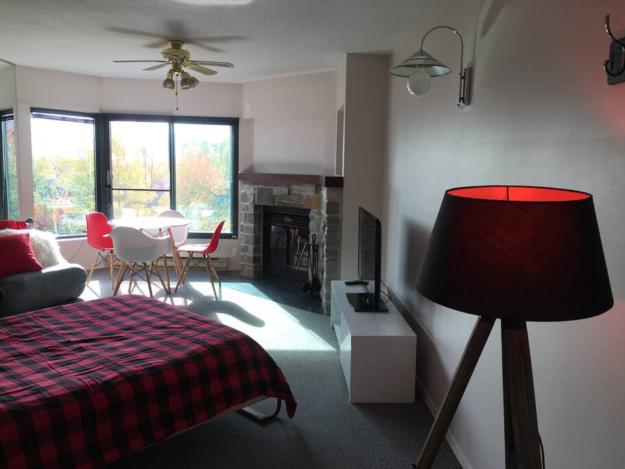 Salon avec foyer