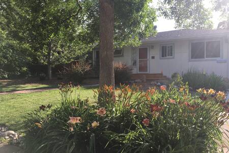 Cozy room in bright, modern home near CU, NIST