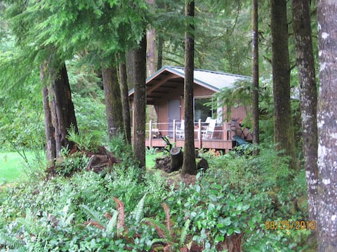 Hoh Vacation Rentals Homes Washington United States Airbnb