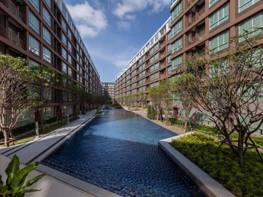 Swiming pool