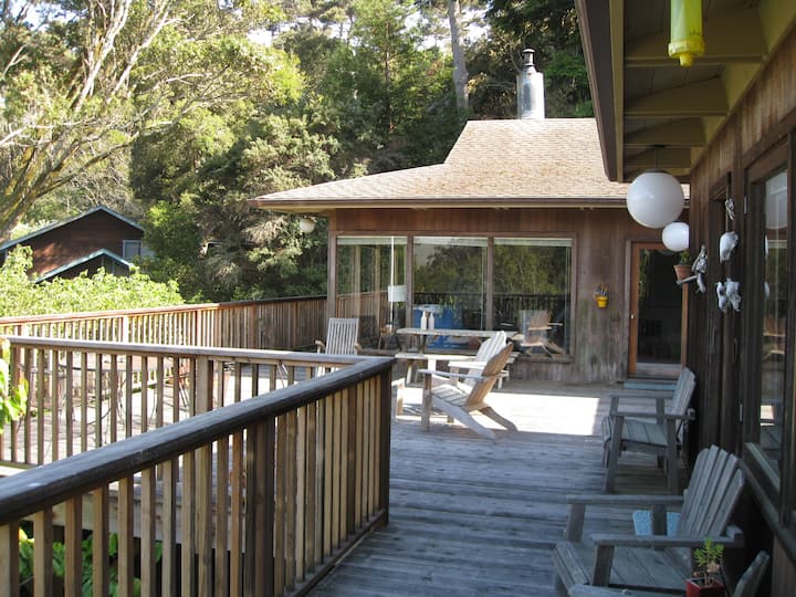 Seashore & Hiking retreat Houses for Rent in Inverness, California, United States Airbnb