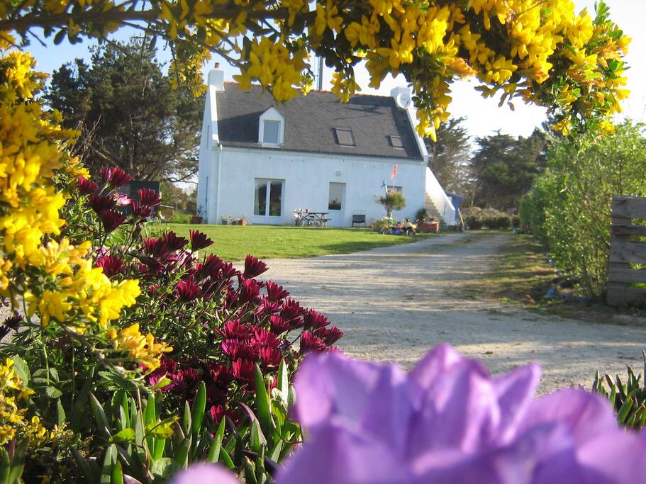 maison dans village calme