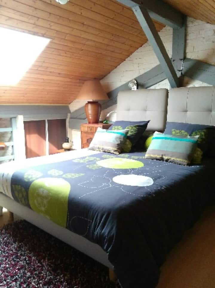    Habitación «Sarcelle de invierno»