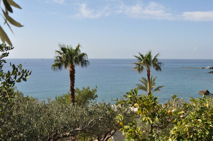 Beachfront Villa on Crete – Villa Charoupi gallery image 5