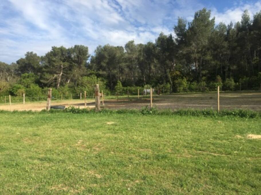 vue devant maison parc à poney