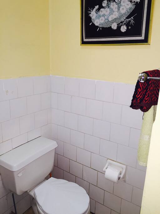 Private toilet