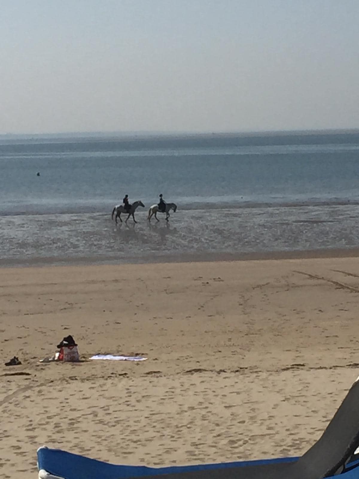 Two horses and riders are seen walking along a sandy beach, with calm waters in the background. The shoreline is expansive, and a sunbather is visible nearby on a beach towel, contributing to a serene coastal scene.