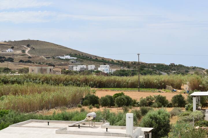 Peter’s home gallery image 5