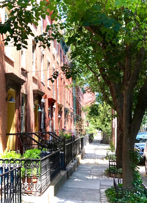Quiet street, historic neighborhood.