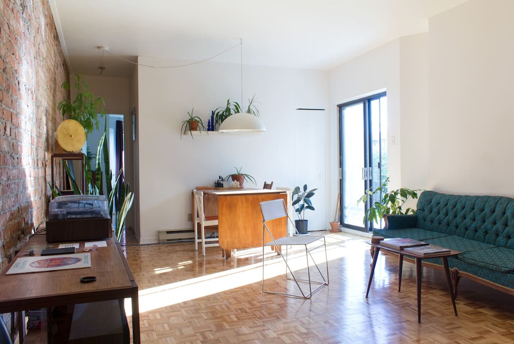 Afternoon light
