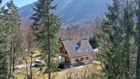 Spacious & cozy holiday apartment at Lake Bohinj