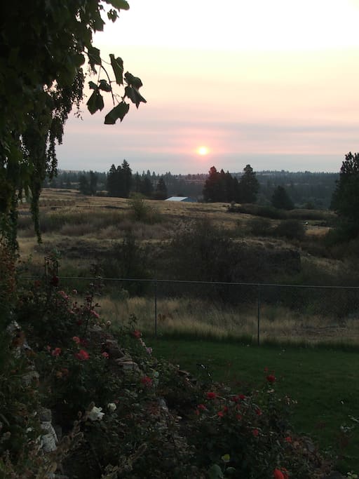 Sunrise from deck