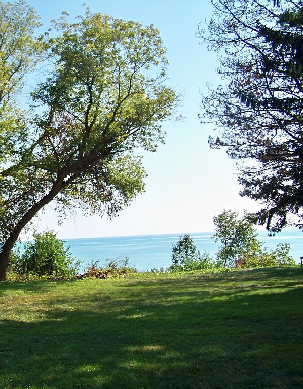 A serene view is captured, featuring lush greenery in the foreground and a clear expanse of Lake Michigan in the background. Tall trees frame the scene, while the calm water glistens under the bright sky.