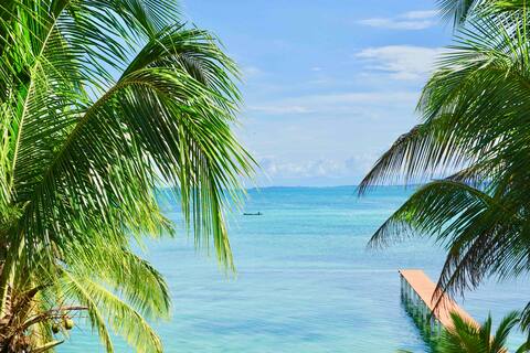 Bay Of The Floating Palms - Beach Front Home