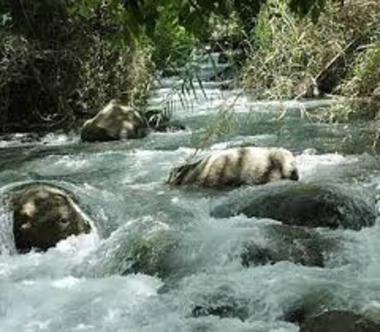 The river